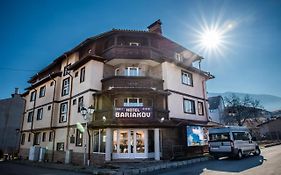 Bariakov Family Hotel
